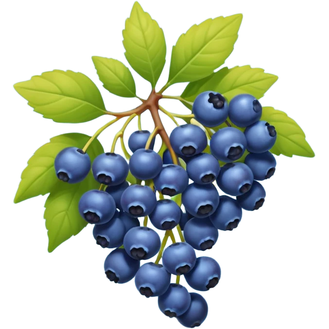 honeysuckle blue berries emoji