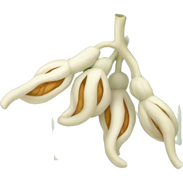 ashwagandha plant emoji