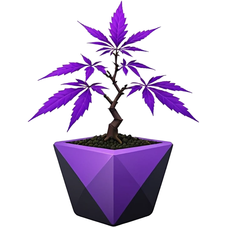  small short black bonsai pot plant purple marijuana maple with triangular angular faceted asymmetrical originally shaped body  emoji