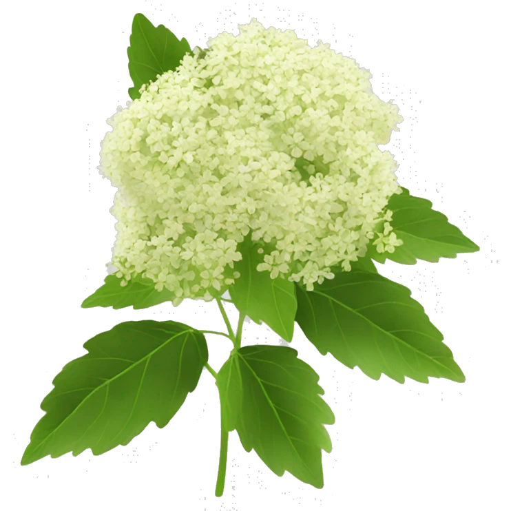 elderflower emoji