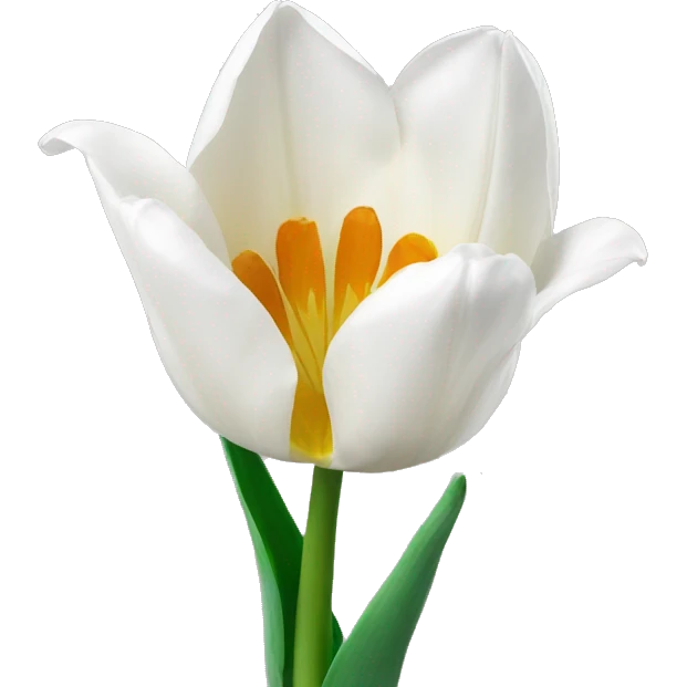 white tulip emoji