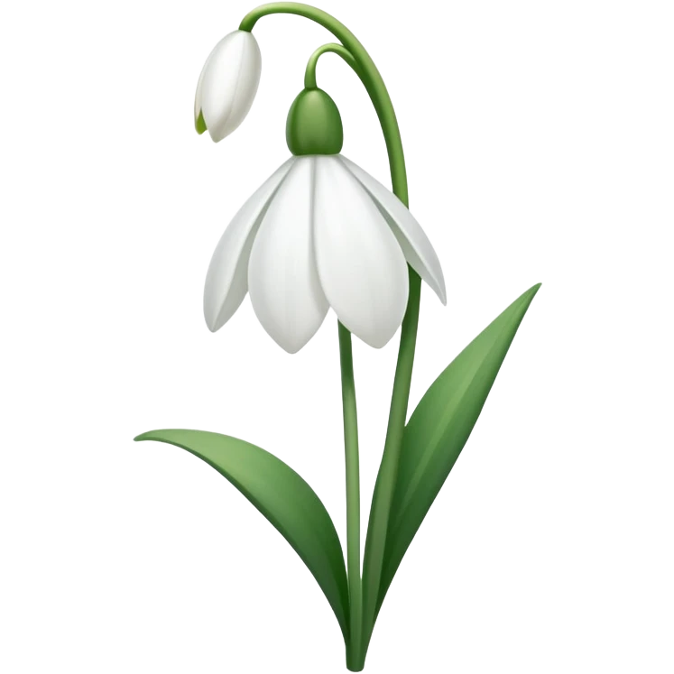 snowdrop flower emoji