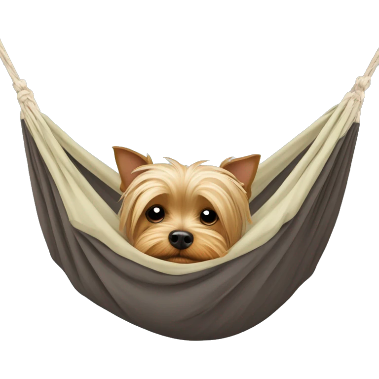 Yorkshire terrier dog sleep in hamaca emoji