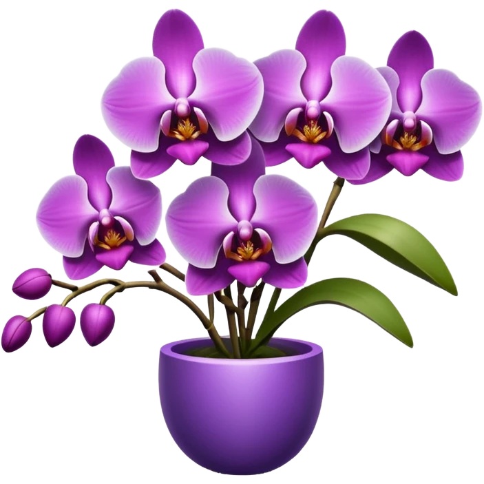 bouquet of orchids emoji