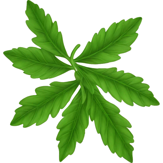 Medicinal leaf emoji