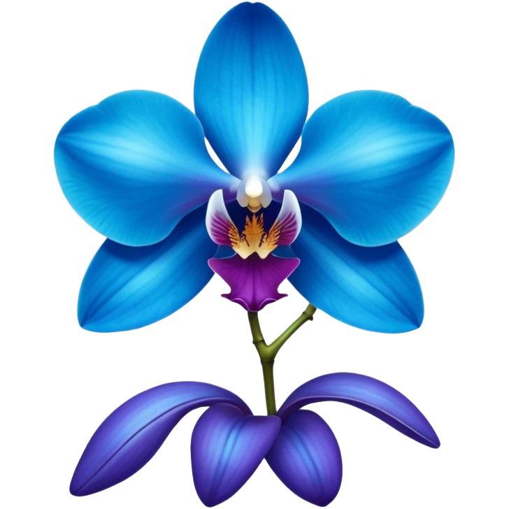 royal blue and cyan orchid emoji
