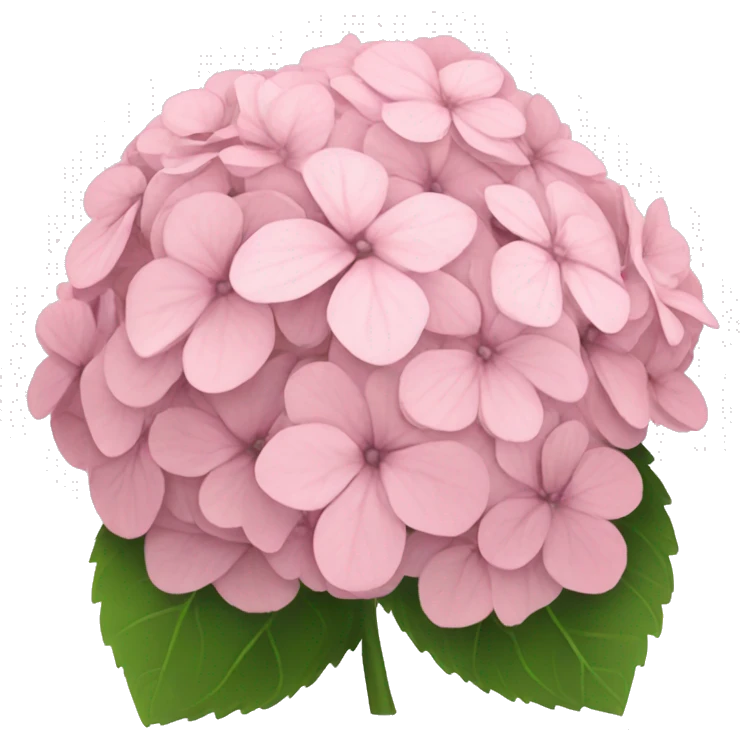 Light pink hydrangeas emoji