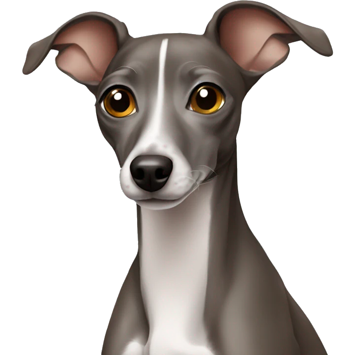 Italian greyhound  emoji