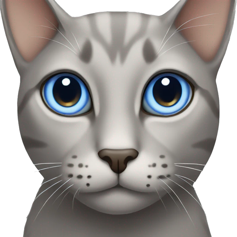 grey cat with brown eyes and beige cat with blue eyes emoji