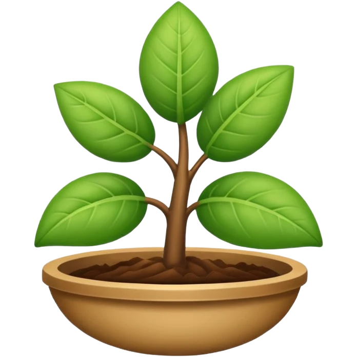 Create a name, "purnota " by emoji  emoji