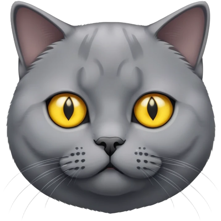 It’s a British Shorthair cat with grey fur and yellow eyes. emoji