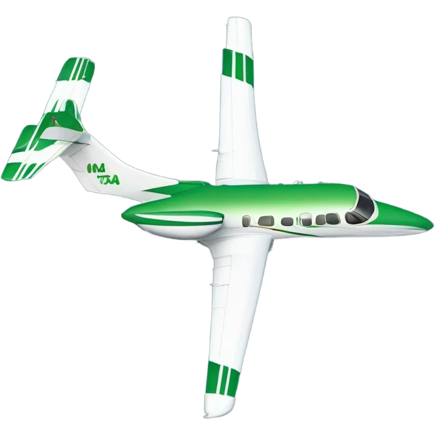 Double engine 6 seat cesna model jet with green stripe down it  emoji