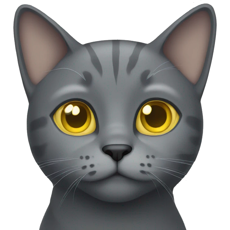 grey cat with yellow eyes  emoji