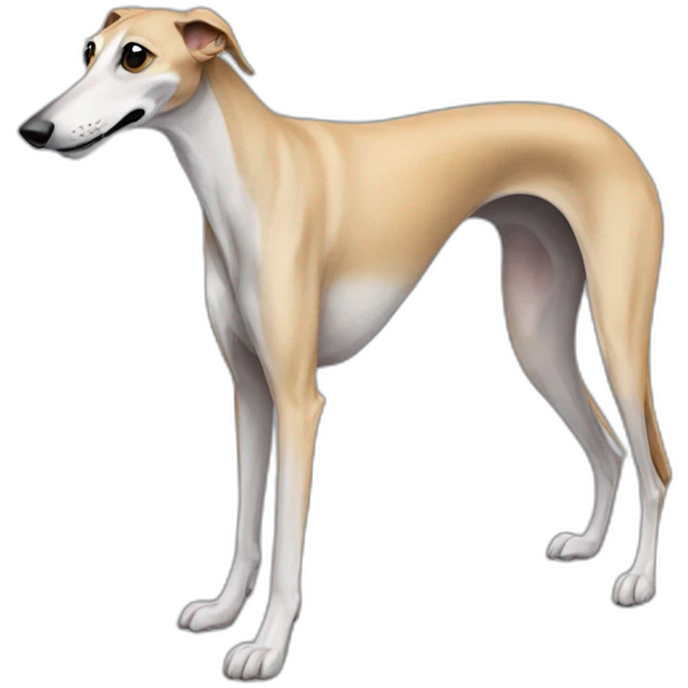 Galgo emoji