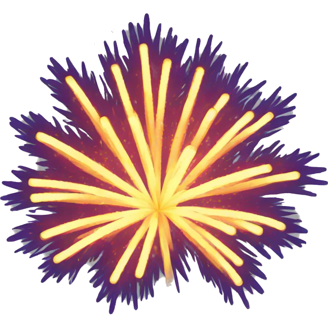 fireworks emoji