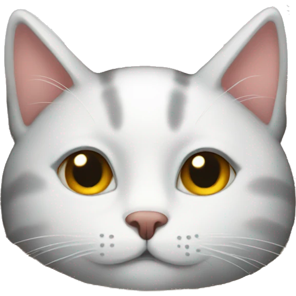 Cozy cat emoji
