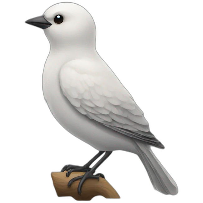 bird emoji