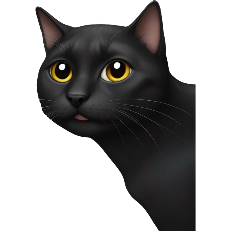 Drooling black cat emoji