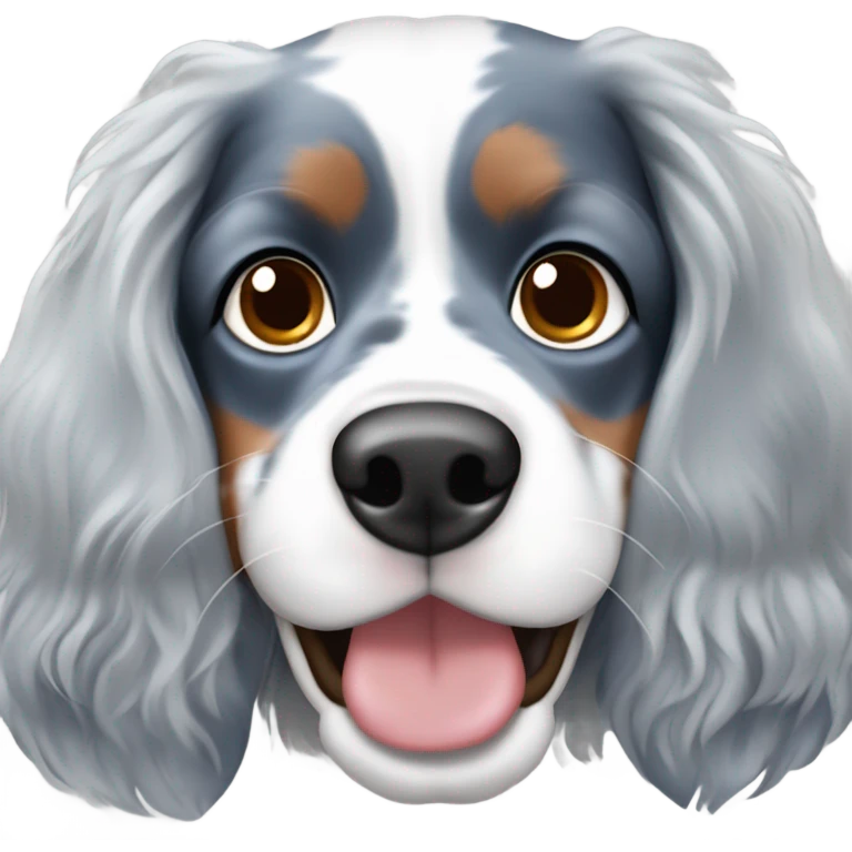 blue merle cavalier spaniel  emoji