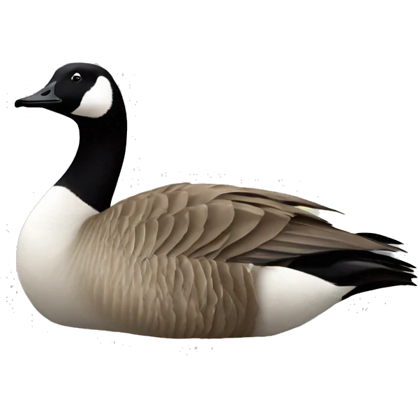 canada goose emoji