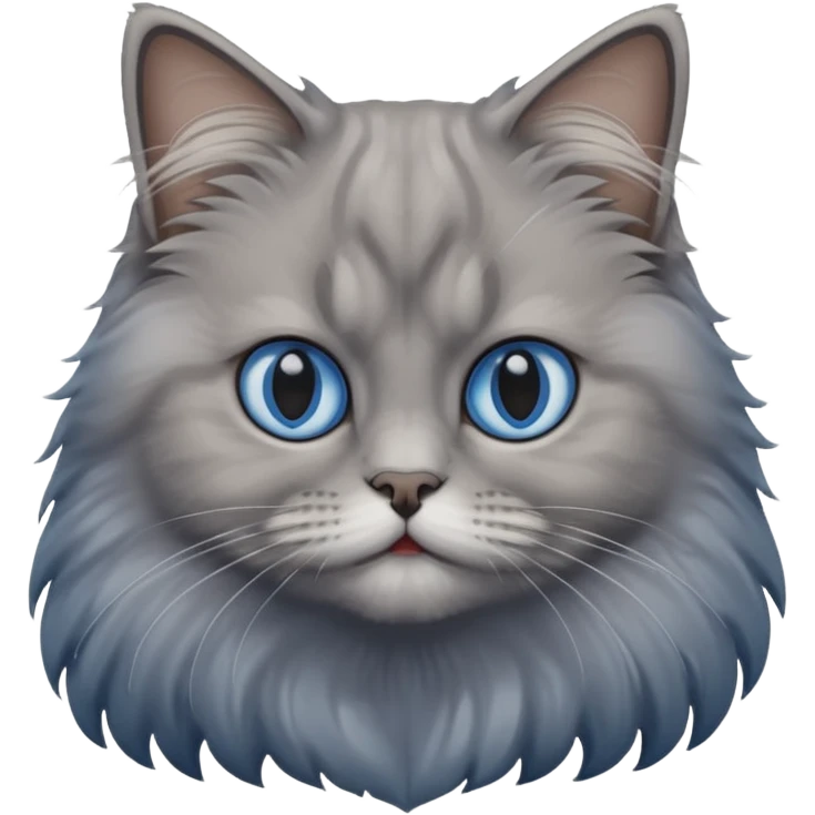A cat which is a brittish longhair whit is gray color and hes eyes are blue emoji