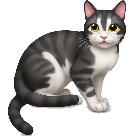Cat  emoji