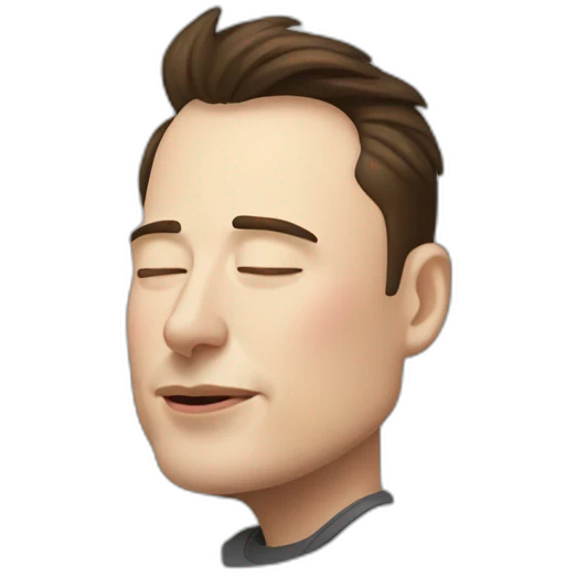 Elon musk sleep emoji