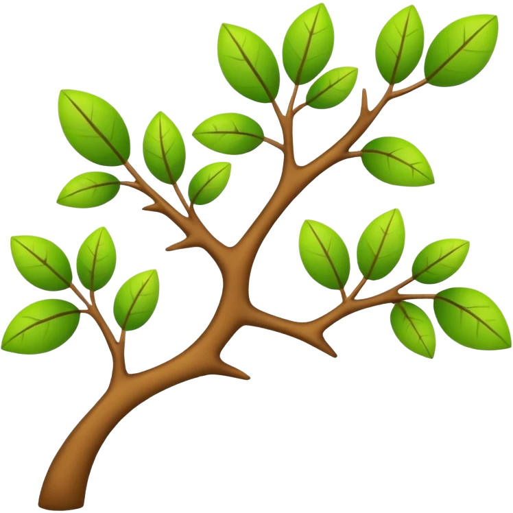 ramo della matematica emoji