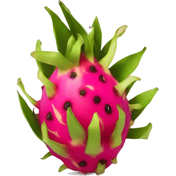 dragon fruit emoji
