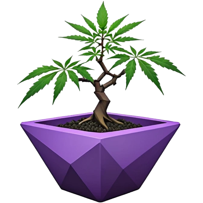  small short black bonsai pot plant purple marijuana maple with triangular angular faceted asymmetrical originally shaped body  emoji