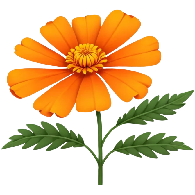 cempasúchil flower, Mexican marigold, bright orange with layered petals emoji