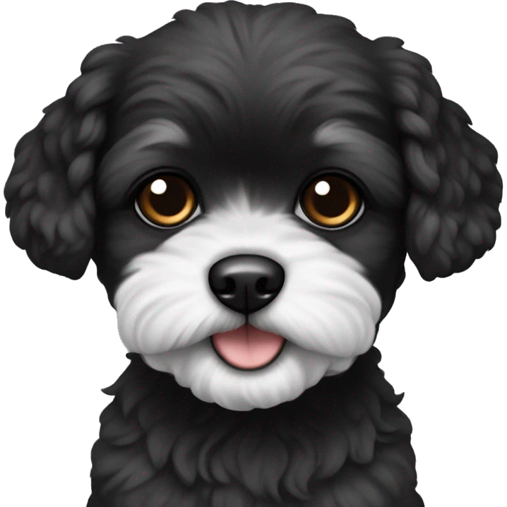Black shichon puppy with black face and black ears and black snout emoji