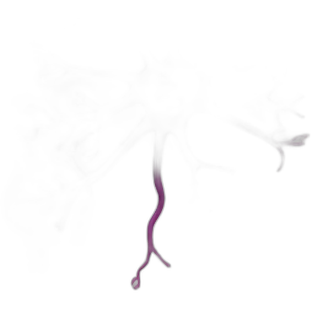 neuron emoji