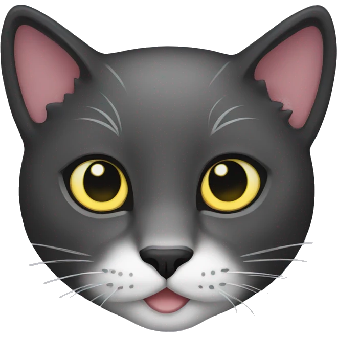 Night colored cat emoji
