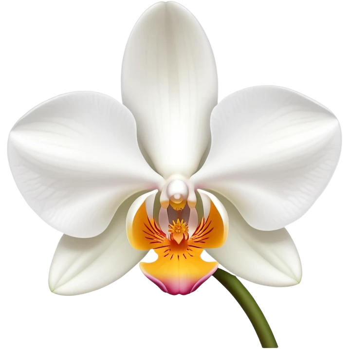 Beautiful phalaenopsis moth orchid flower with delicate petals and distinctive shape emoji