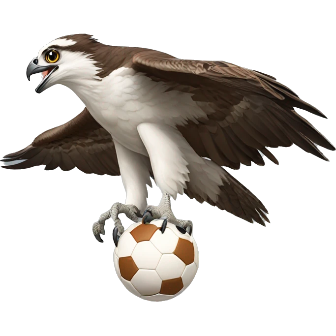 Osprey clutching a football emoji