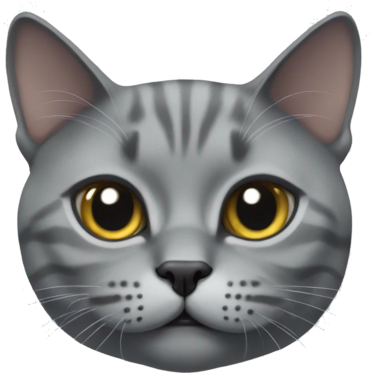 Face of gray British cat  emoji