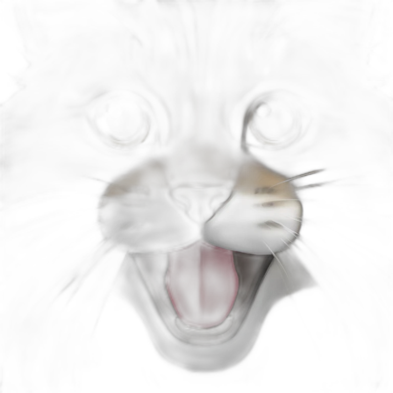 Main coon emoji
