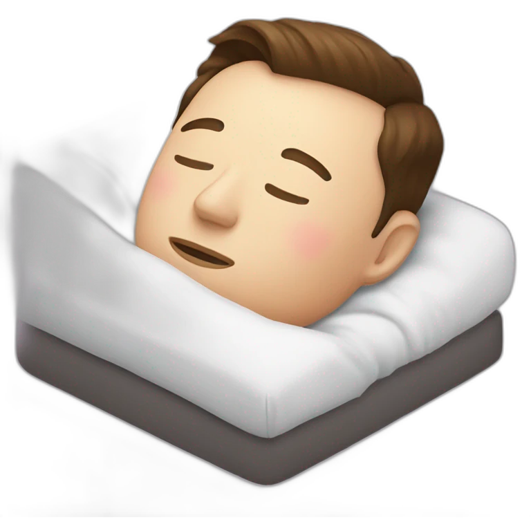 elon musk sleep emoji