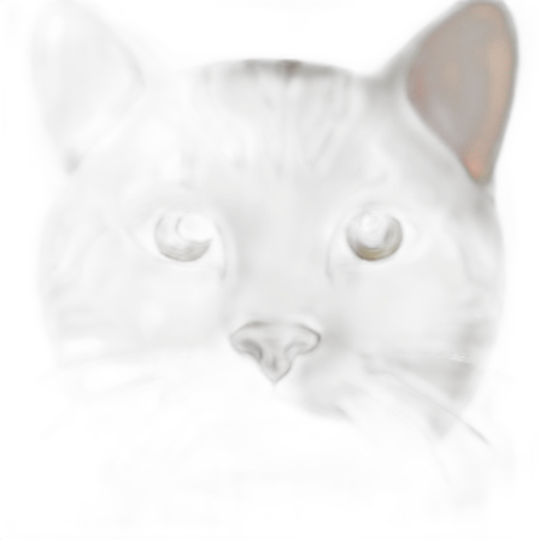 round cat emoji