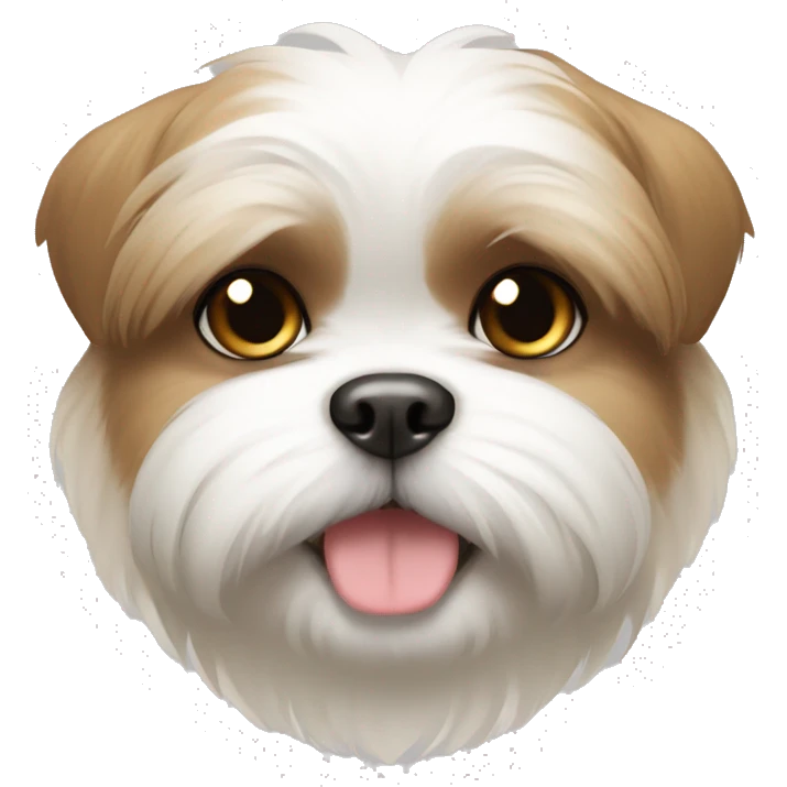 cute shi tzu, white face, light brown around the eyes, in a circle emoji