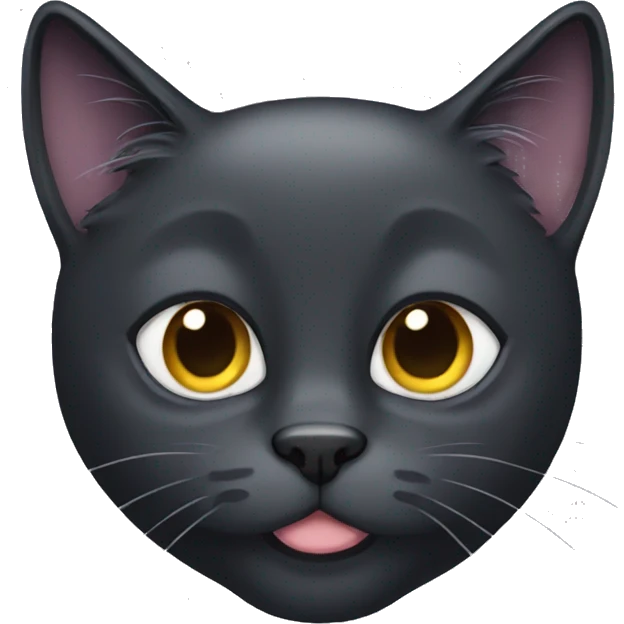 black cat long-haired  emoji