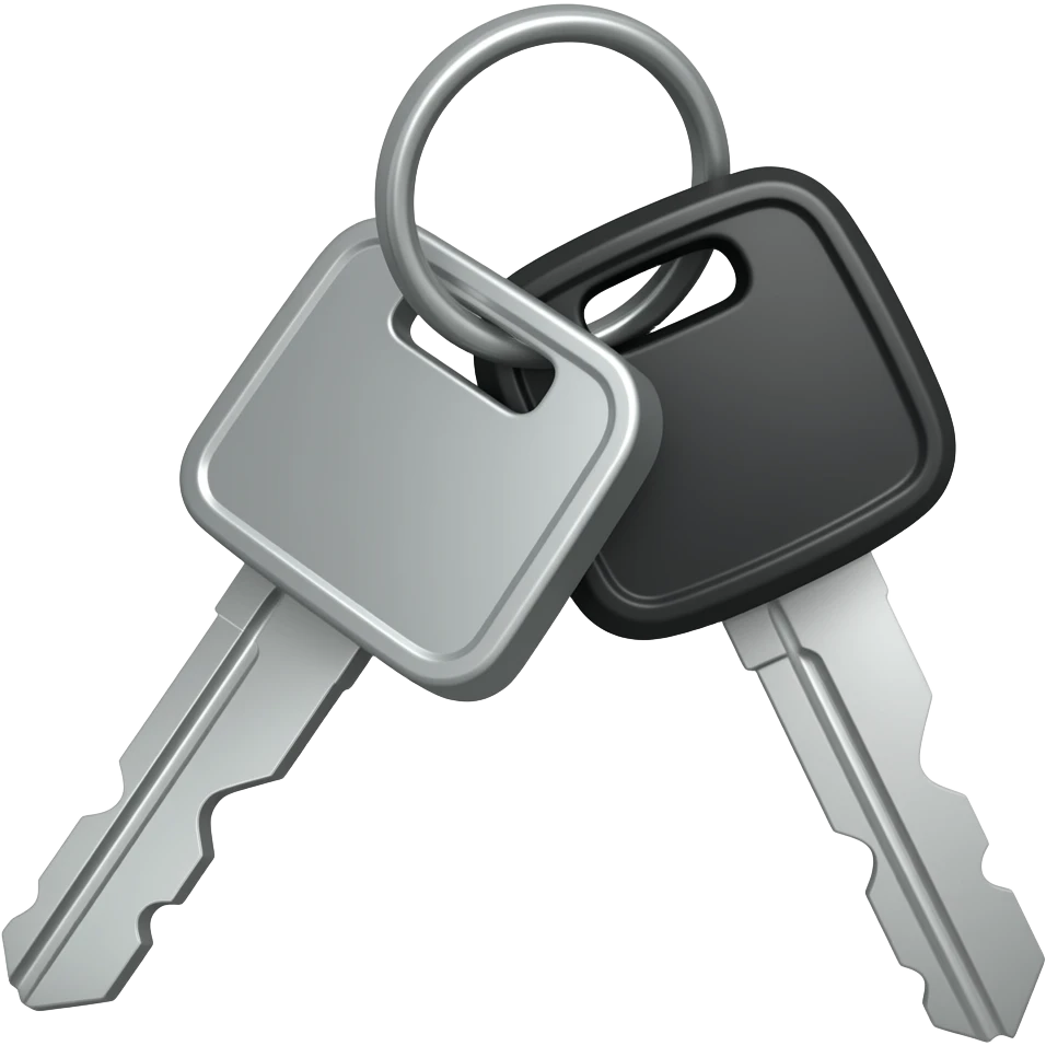 car keys with keychain black on white background minimalism emoji