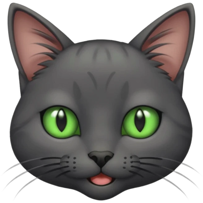 Skinny dark grey cat green eyes is winking emoji
