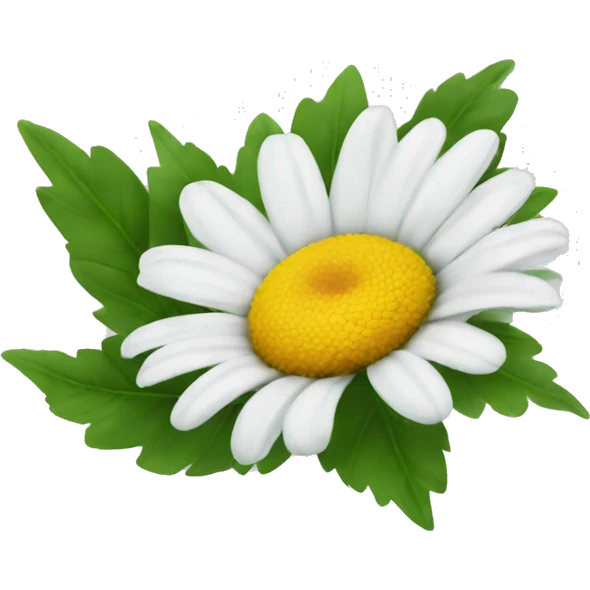 Single daisy flower with leaves emoji