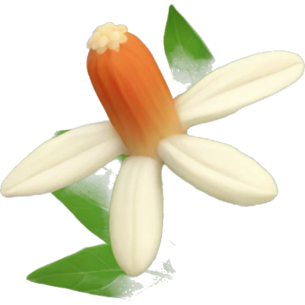 ashwagandha with flower emoji