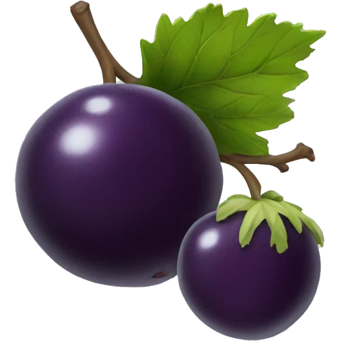 black current fruit emoji