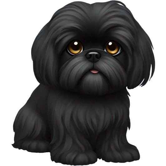 Completely black shiz tzu with long hair  emoji