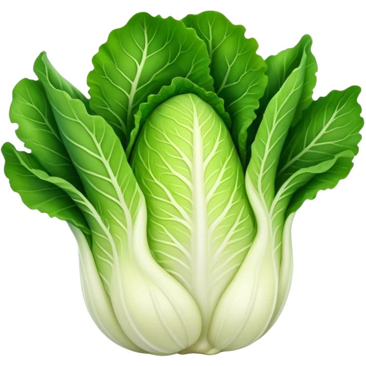 Napa Cabbage plant  emoji