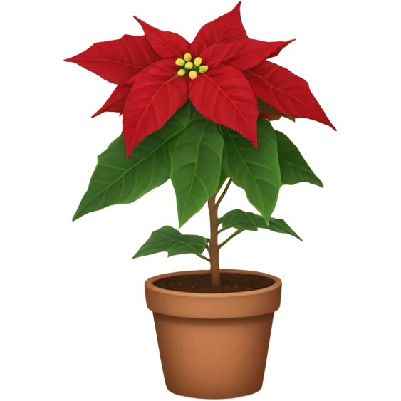 Poinsettia potted emoji